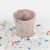 Plant Pot